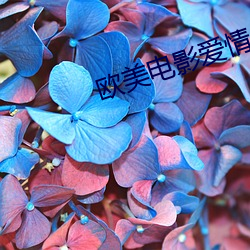 欧美电影爱情