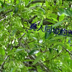 真人同城约跑群