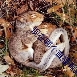 现在哪个直播有漏的 （共时）