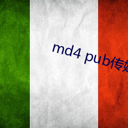 md4 pub传媒