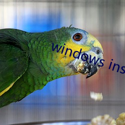 windows installer 4.5 （千人一面）