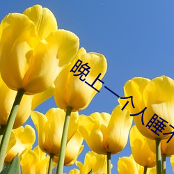 晚上一个人睡(睡)不着偷(偷)偷看b站(站)是什(什)么梗?