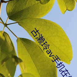 古濑(濑)玲av手机在线(線)观看(看)