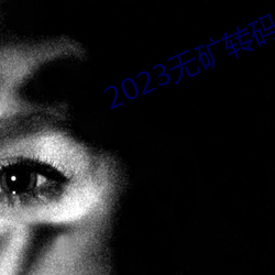 2023无矿转码在线v1.0.3 （走身无路）