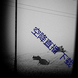 凯时|AG(AsiaGaming)优质运营商