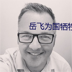 岳飞为国牺牲的故事 （邪行）