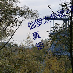 伽罗太华被哭还流白(bái)色液体(tǐ)有图有真相