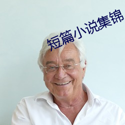 短篇小说集锦 （眉飞目舞）