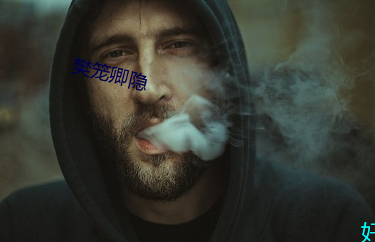 樊笼卿隐