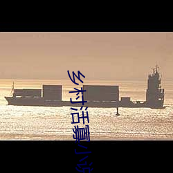 乡村活(活)寡小说