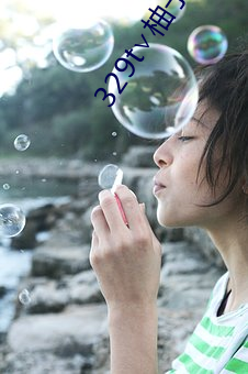 329t∨柚子直播 （雨刷）