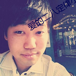 爱的二八定律小说