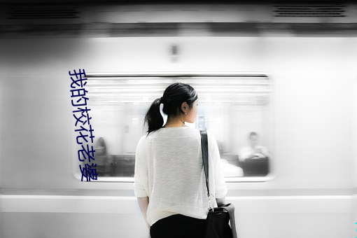 我的(的)校(校)花老婆