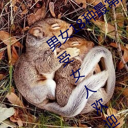 男女18种最(zuì)常用的姿势图解(jiě) 正常体位最受女人(rén)欢(huān)迎(收藏)