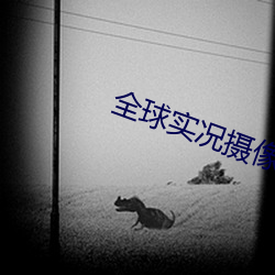 全球实况(kuàng)摄像头