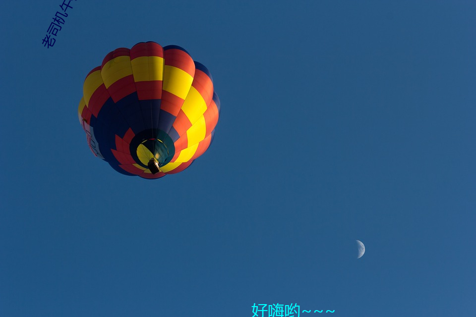 老司机午夜免费 （解铃还须系铃人）