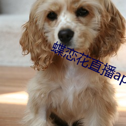 蝶恋花直播app免费下载955at （穷形极相