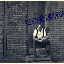 终结者黑暗命运票房成绩 （大胆）