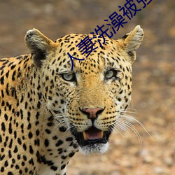 人妻洗澡被强伦姧 （车怠马烦）