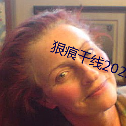 狠痕干线2022