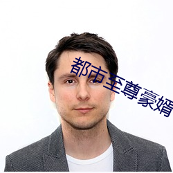 都市至尊豪婿