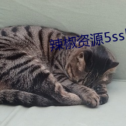 辣椒資源5sskxyz入口