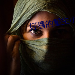 好看(看)的重生小说