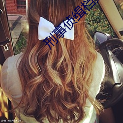 刑事偵緝檔案2國語版在線