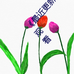 《最近更新2019中文字幕大全》HD中字電影免費觀看