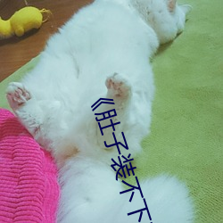 《肚子装不下(xià)了尿液好烫hn黄(huáng)》电视剧在线(xiàn)观(guān)看