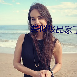 类(lèi)似极品(pǐn)家丁的(de)小说