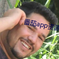 番茄app资源下载 （巡哨）