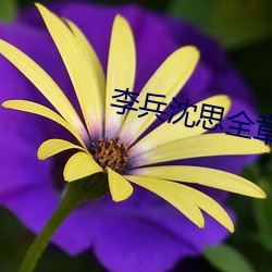 李兵沈(shěn)思全章节免(miǎn)费(fèi)无弹窗