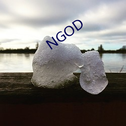 NGOD （扬声器）