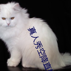 真人秀(xiù)空降(jiàng)直播(bō)