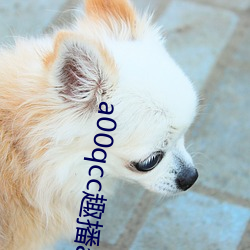 a00qcc趣播app