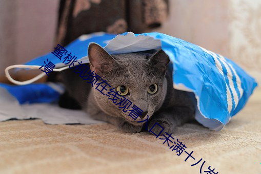 蜜桃视(視)频(頻)在线(線)观看入口(口)未满十(十)八岁含羞(羞)草动(動)漫