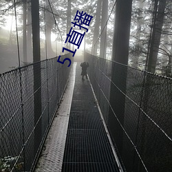 51直播