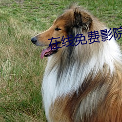 在線免費影院