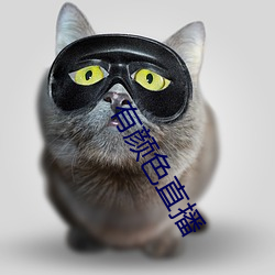 有(有)颜色(色)直(直)播