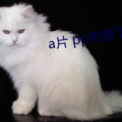 a片(片) pp免(免)费下(下)载