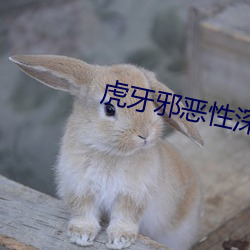 虎牙(yá)邪恶(è)性深夜(yè)gif动(dòng)图
