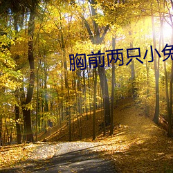 胸前两只小兔子从衣服蹦出来