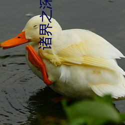 诸(zhū)界(jiè)之深渊(yuān)恶魔(mó)