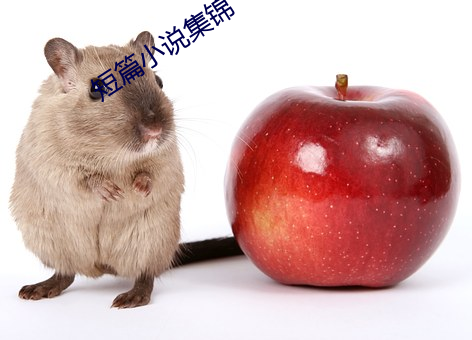 短篇小说(說)集锦(錦)