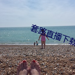 套路直播下载