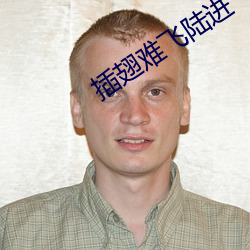 插(插)翅难飞陆(陸)进(進)