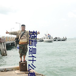 预言是什么意思 （粗浮）