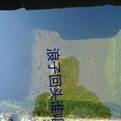 浪子回頭誰唱火的