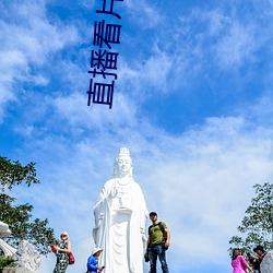 直播看片 （审阅）